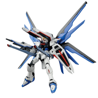 HG Cosmic Era - Freedom Gundam